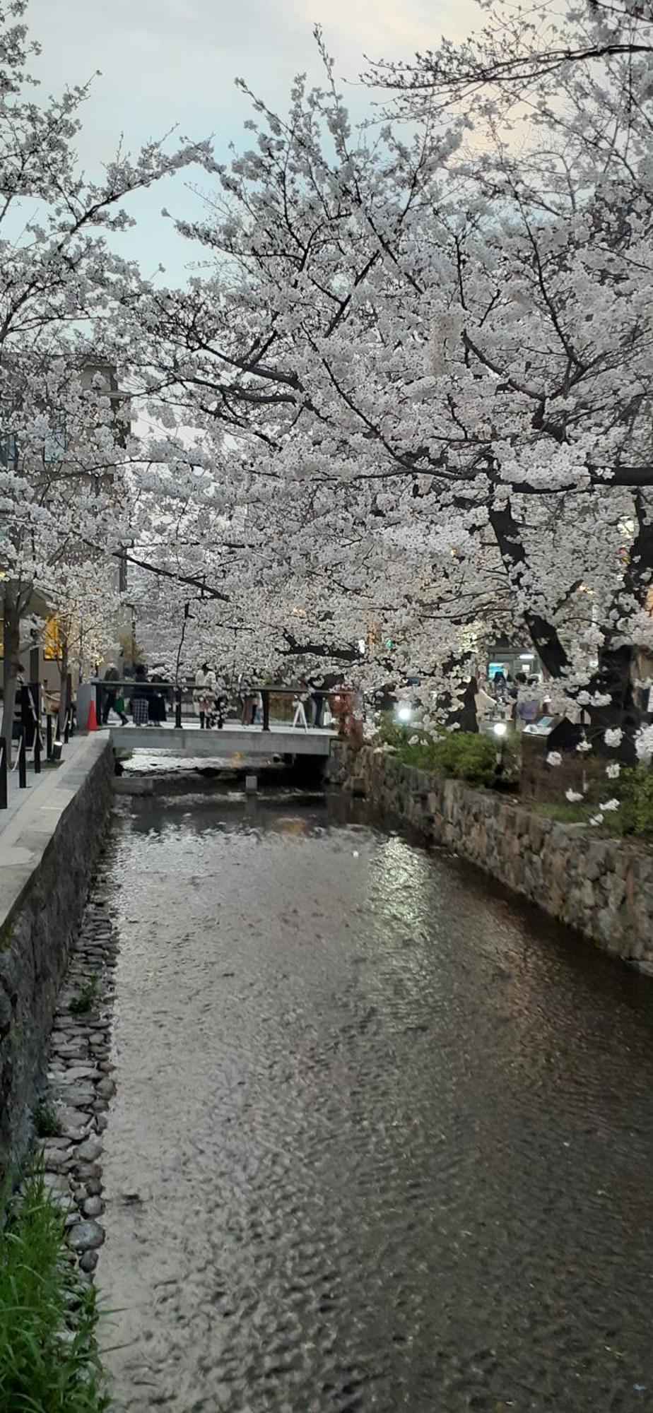 Izutsu Hotel Kyoto Kawaramachi Sanjo מראה חיצוני תמונה